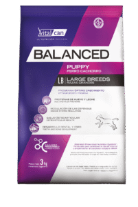 BALANCED CACHORRO RAZA GRANDE X20KG