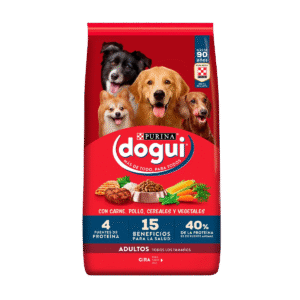 DOGUI ADULTO X21KG