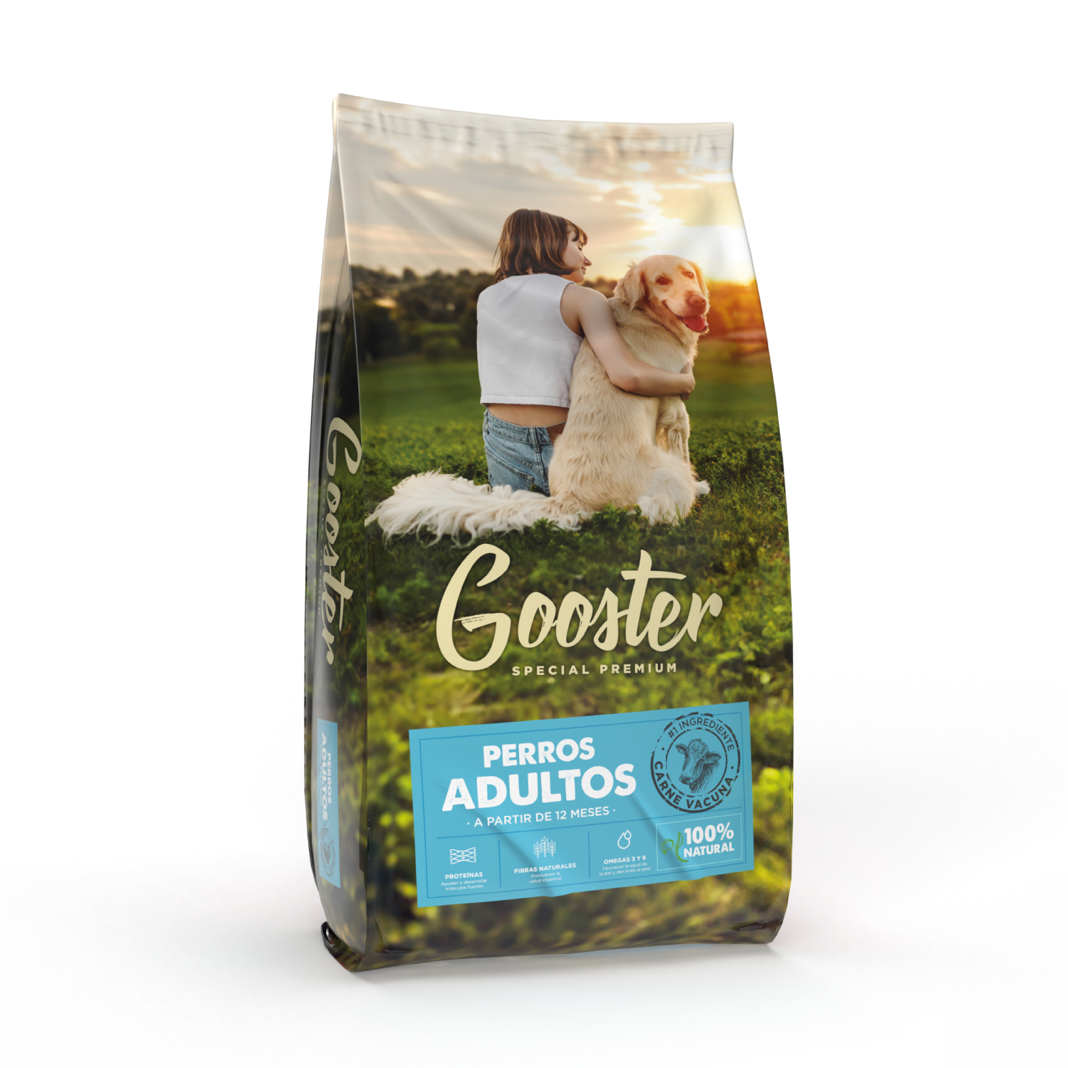 GOOSTER ADULTO X20KG