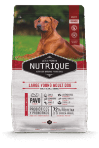 NUTRIQUE ADULTO LARGER X15KG
