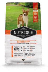 NUTRIQUE CACHORRO RAZA MEDIANA X12KG