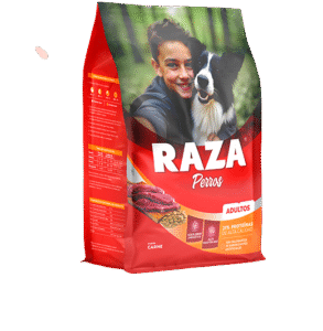 RAZA PERRO ADULTO X21KG