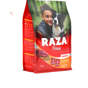 RAZA PERRO ADULTO X21KG