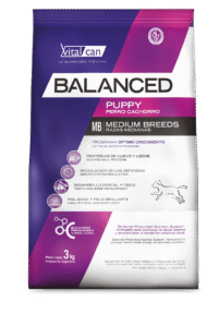 BALANCED CACHORRO RAZA MEDIANA X20KG