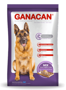 GANACAN ADULTO MIX X22+3KG