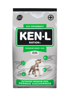 KEN L CACHORRO