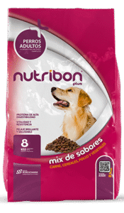 NUTRIQUE PLUS ADULTO X20KG