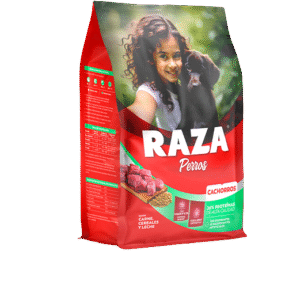 Raza cachorro