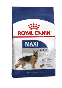 ROYAL CANIN MAXI ADULTO